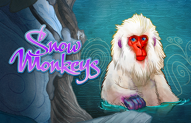 Snow Monkeys